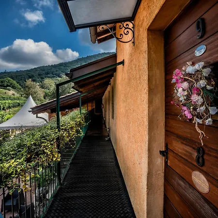 Wine & Art Relais Vallombrosa