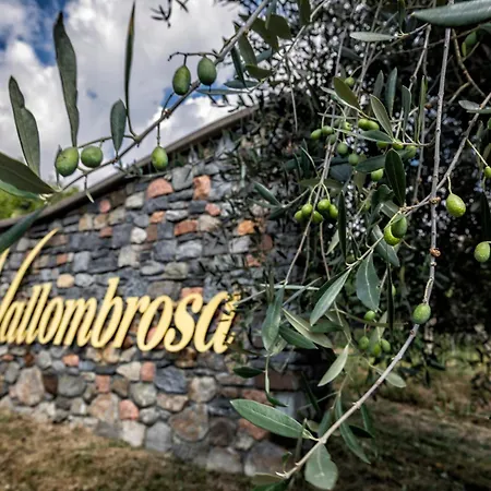Wine & Art Relais Vallombrosa