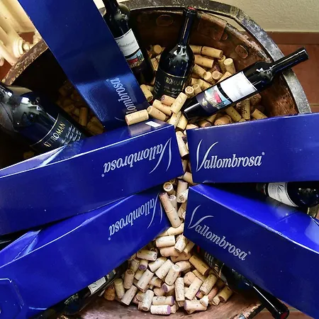 Wine & Art Relais Vallombrosa Bed & Breakfast