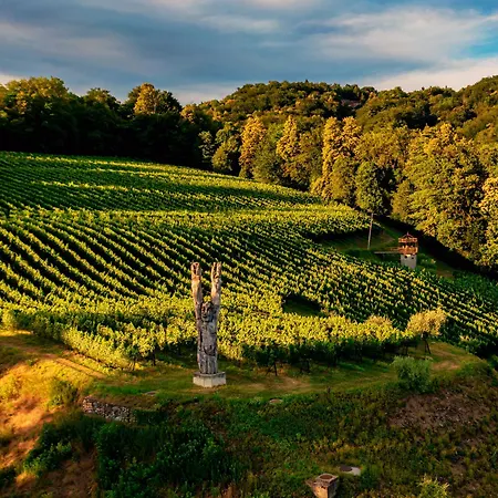Wine & Art Relais Vallombrosa Bed & Breakfast